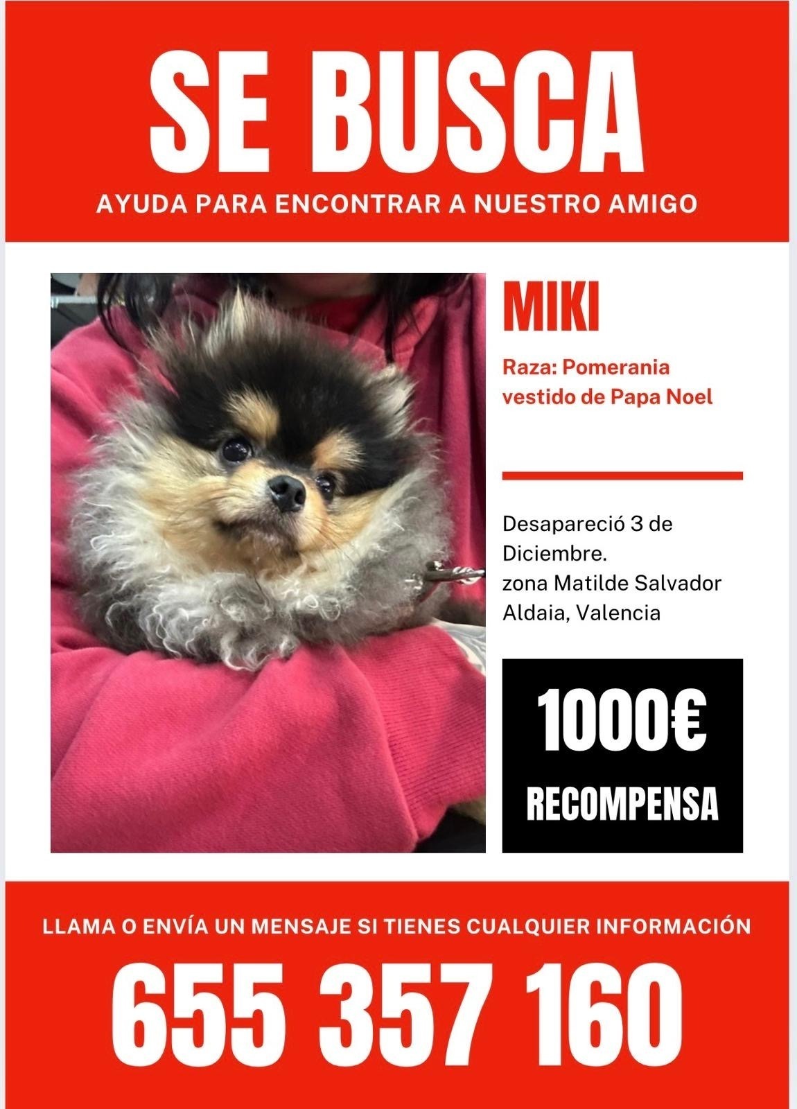 perro perdida, Aldaia