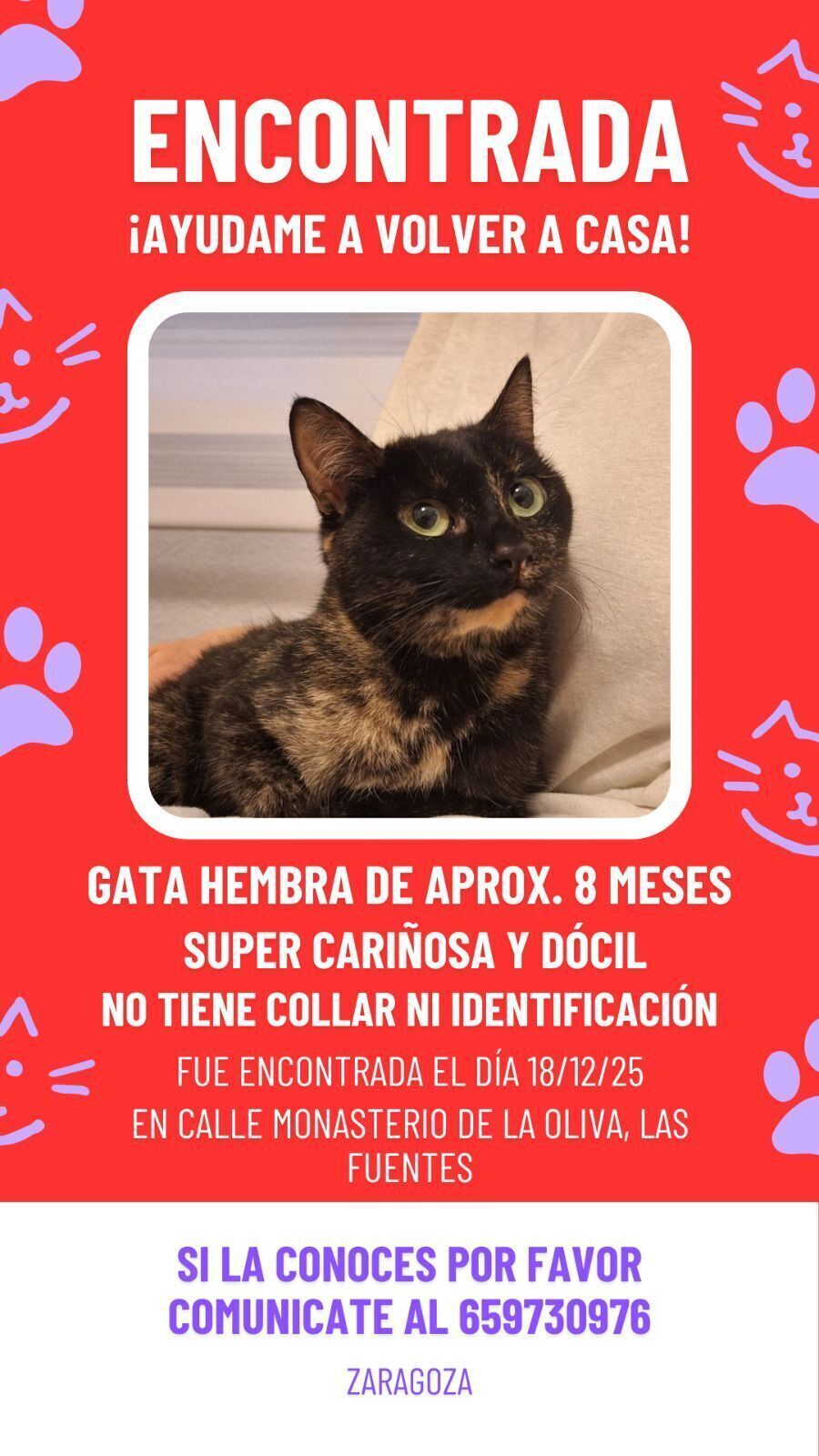 Gata Carey Joven y Cariñosa en...