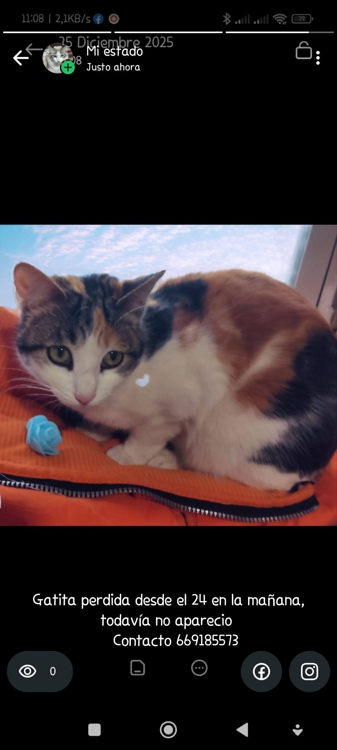 Gatita Tricolor Perdida en La Guardia