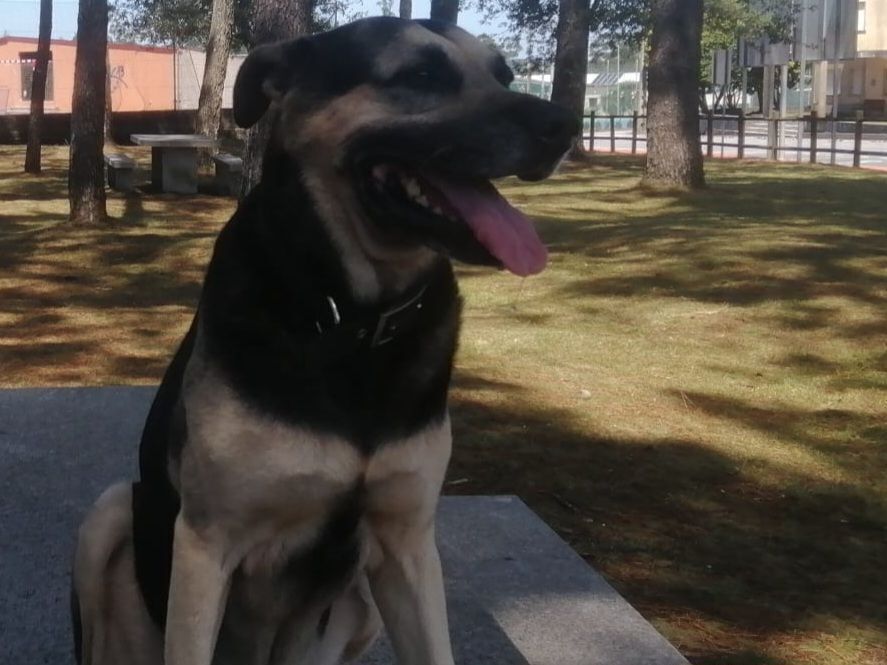 ¡Ayuda a Encontrar a Yeiko, Pa...