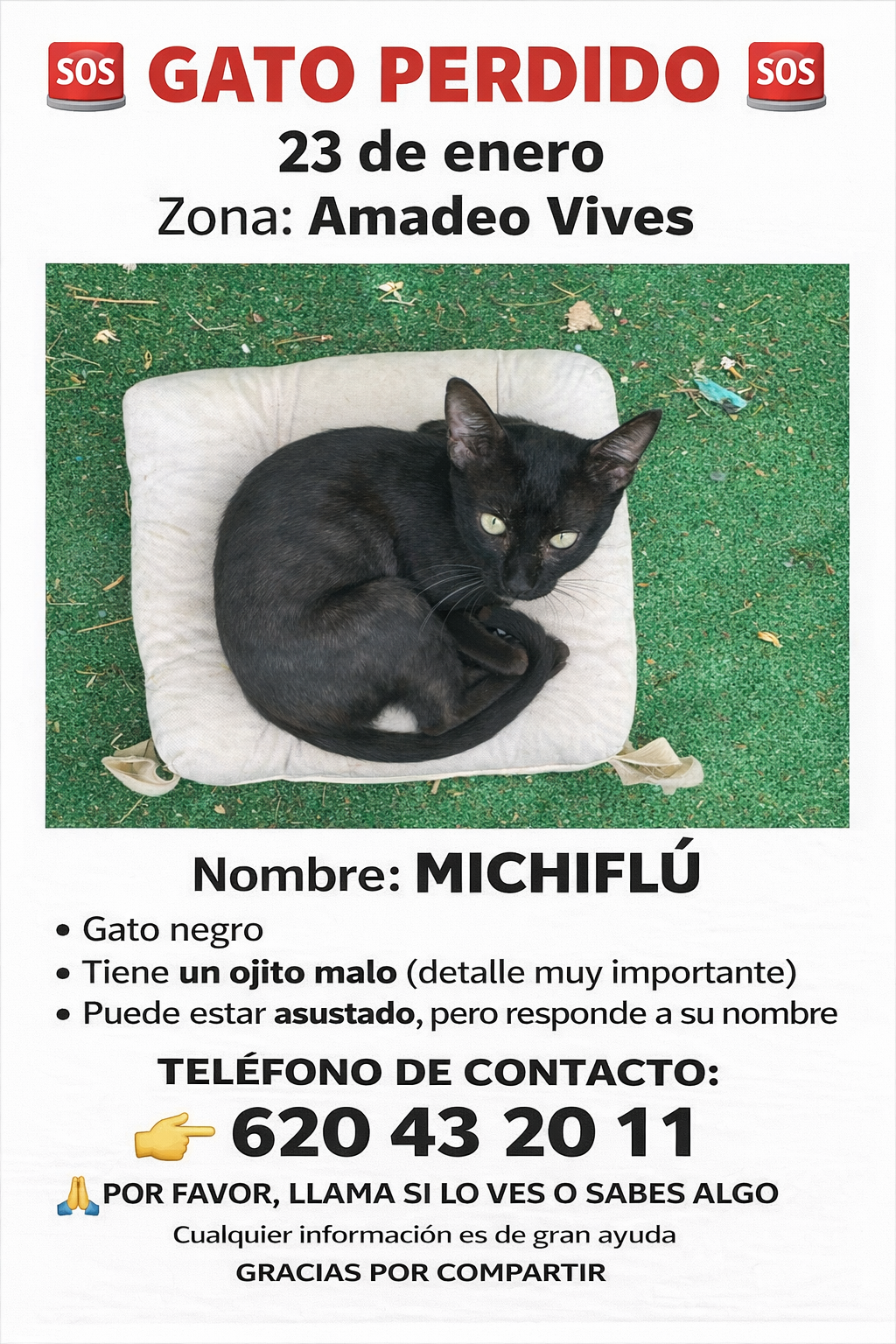 ¡Gato Perdido en Málaga: Un Ojo Especial!