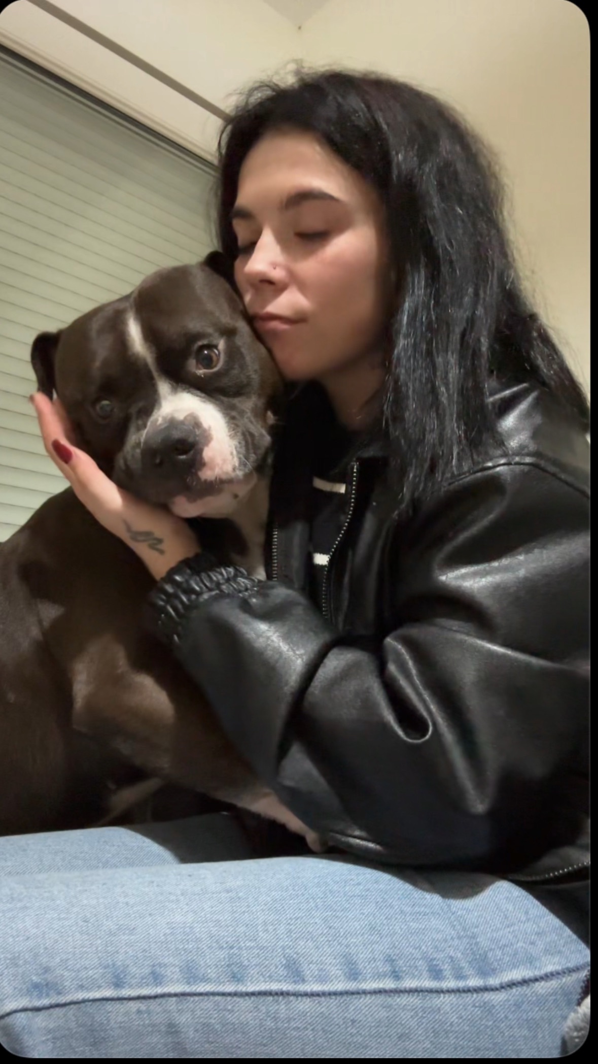 Pitbull negro perdido en Encoro do Eume