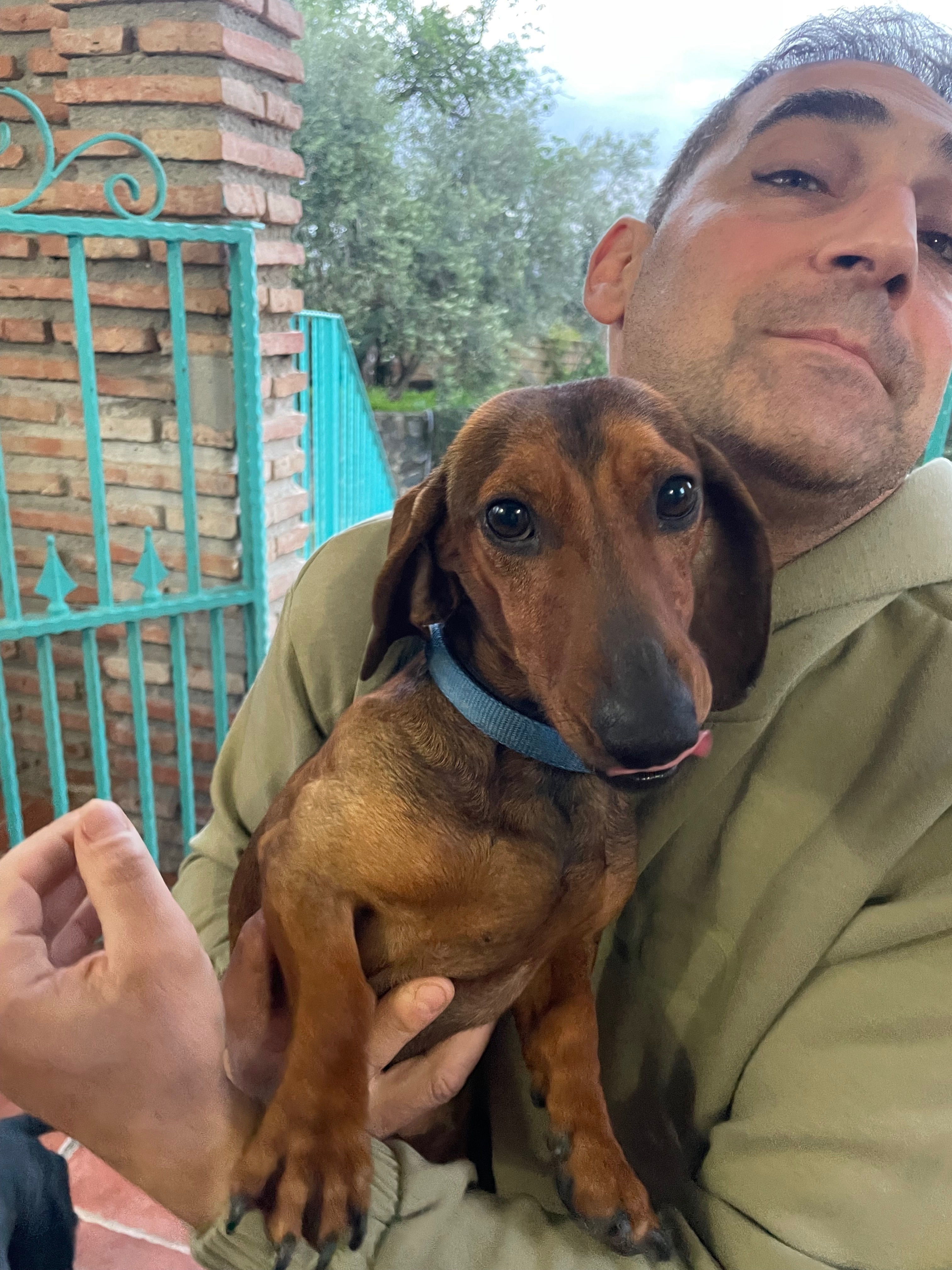 Teckel Perdido: Lukas en Alhaurín el Grande