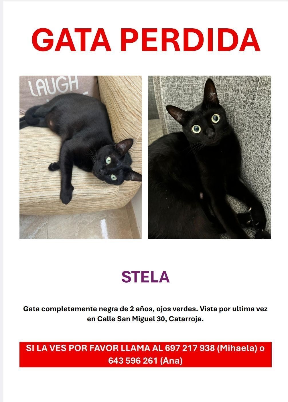 Se busca: Gato negro con ojos verdes en Catarroja