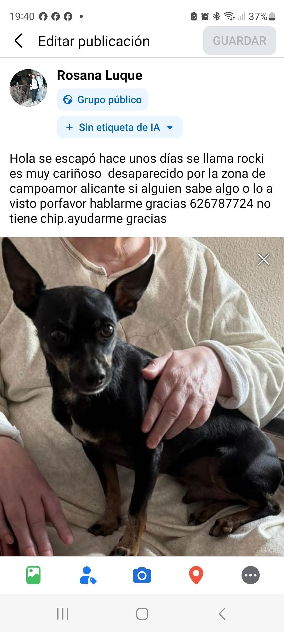 ¡Perro Pinscher Perdido en Alicante!